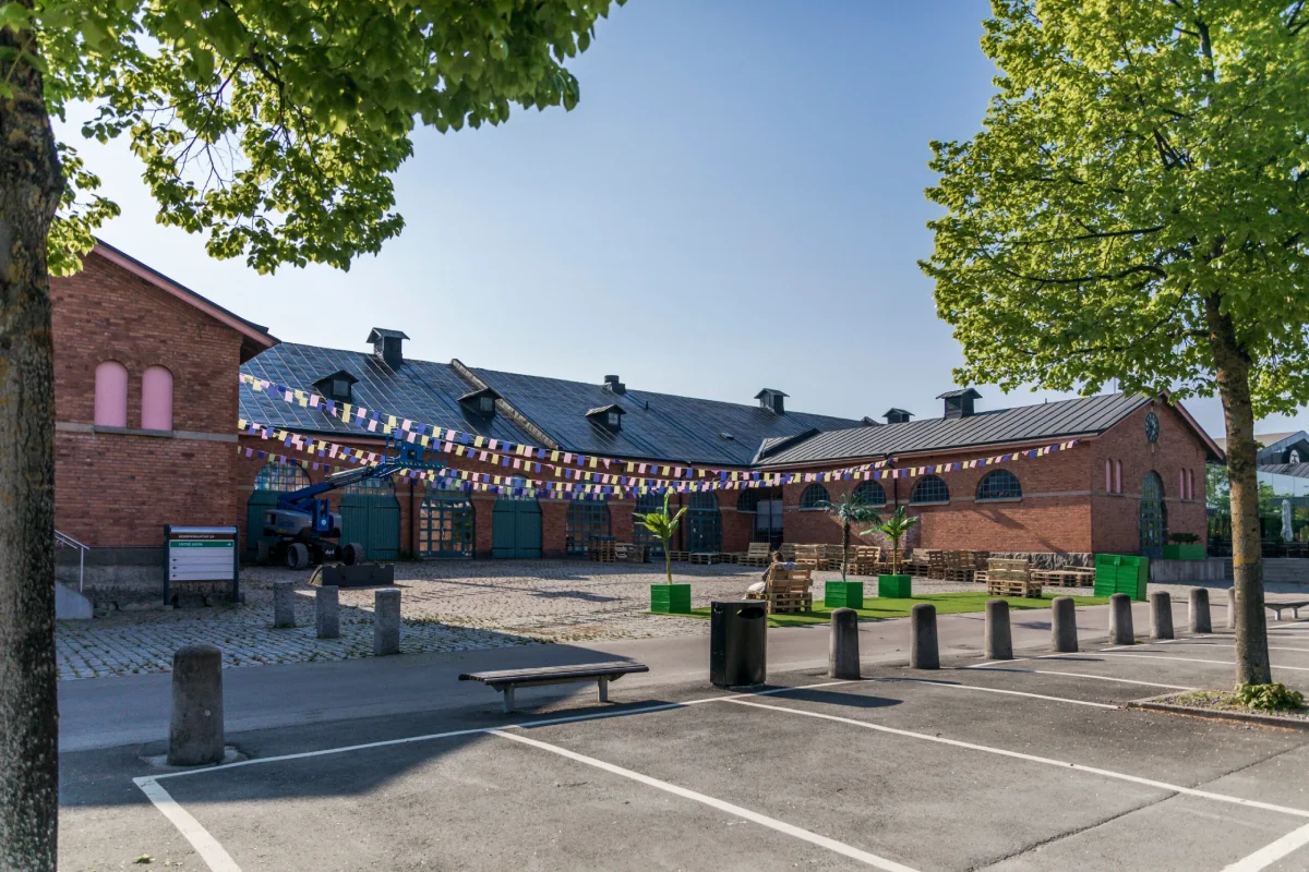 Takmålning och takrengöring